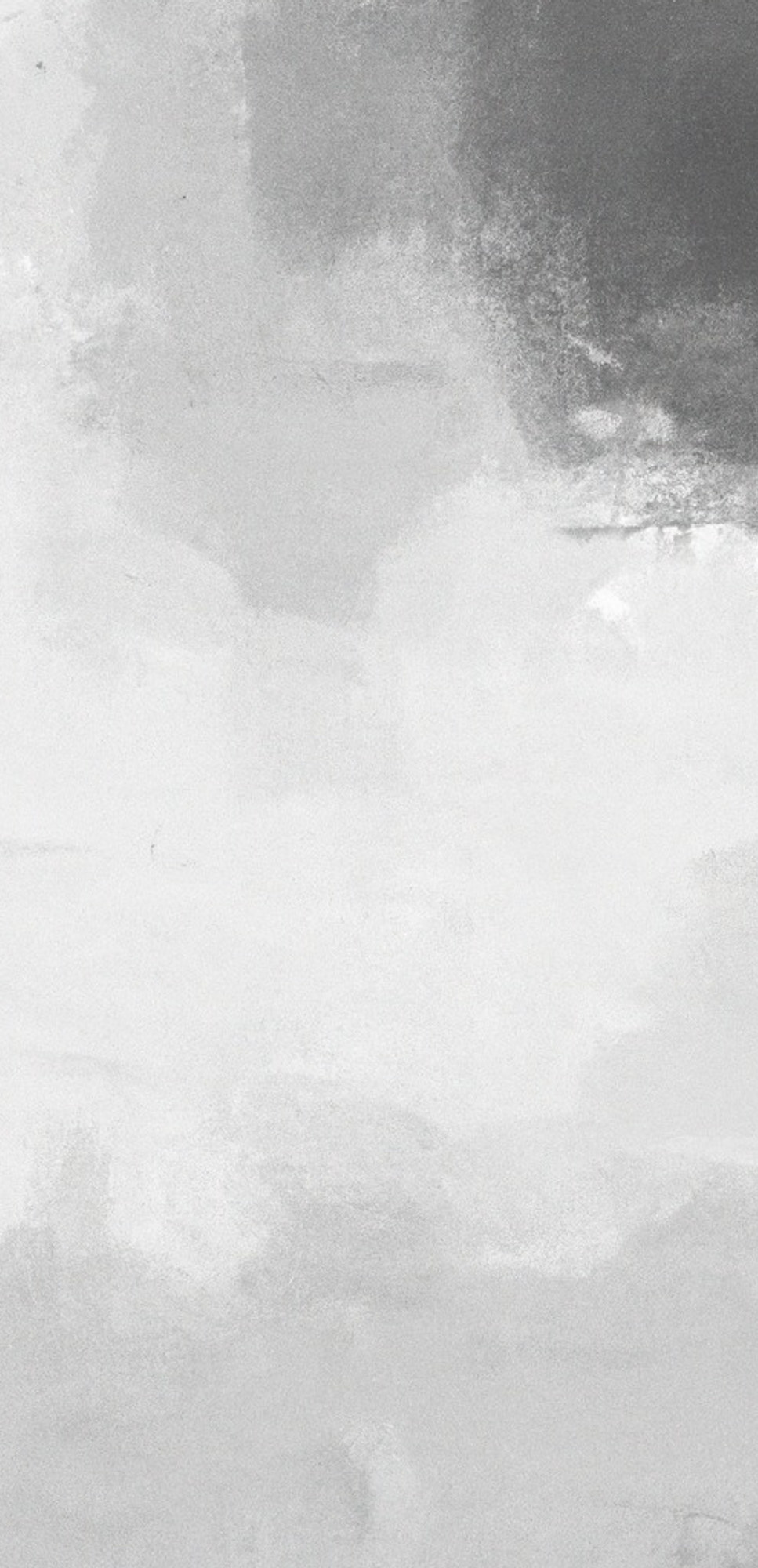 plain grey background.jpg